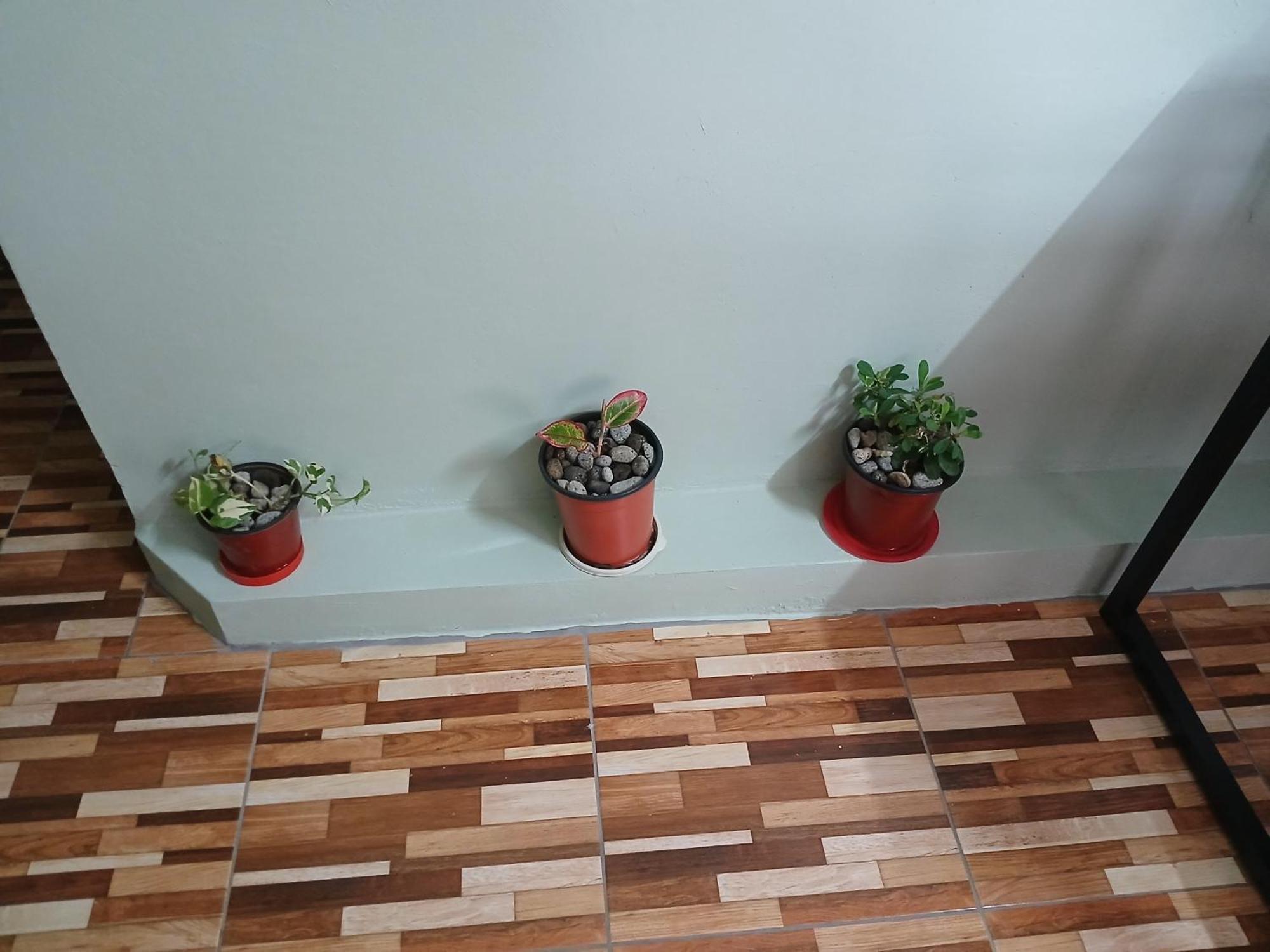 MarigotNatrue'S Haven住宿加早餐旅馆 外观 照片